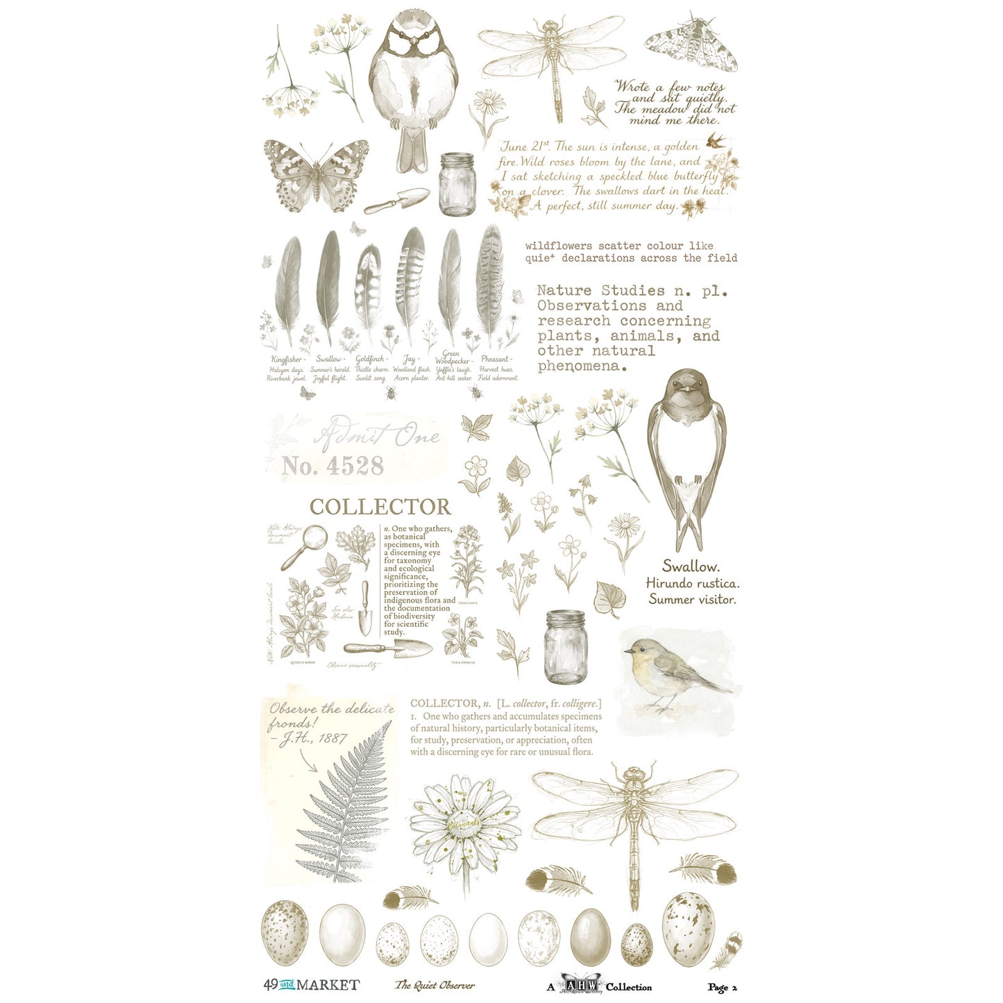 49 and Market - The Quiet Observer - Essentials Rub-On Transfer Set 6"X12
