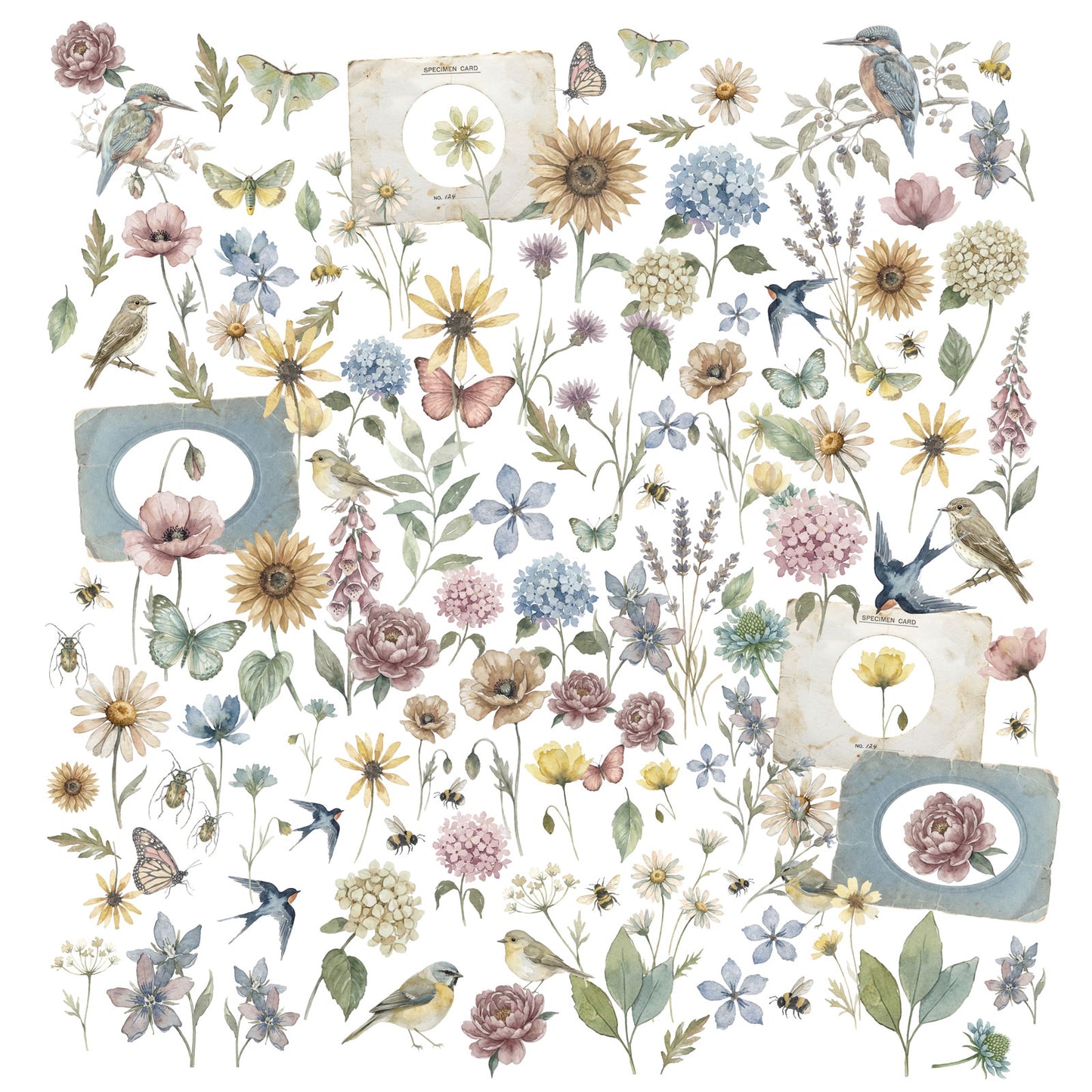 49 And Market - The Quiet Observer - Laser Cut Wildflowers