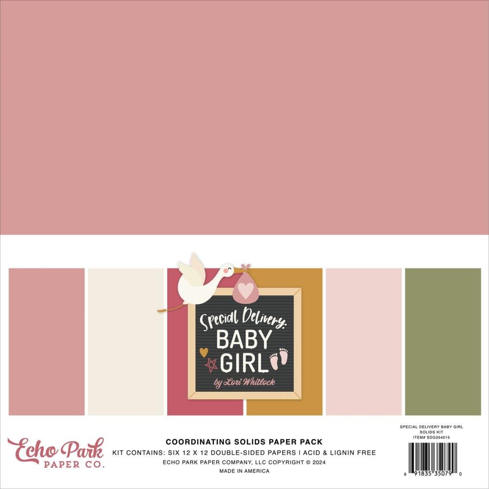 Echo Park - Special Delivery Baby Girl Bundle Kit - The Crafty Kiwi
