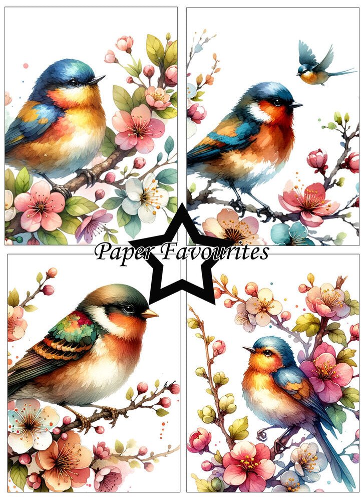 Paper Favourites - A6 Paper Pad - Birds and Flowers - The Crafty Kiwi