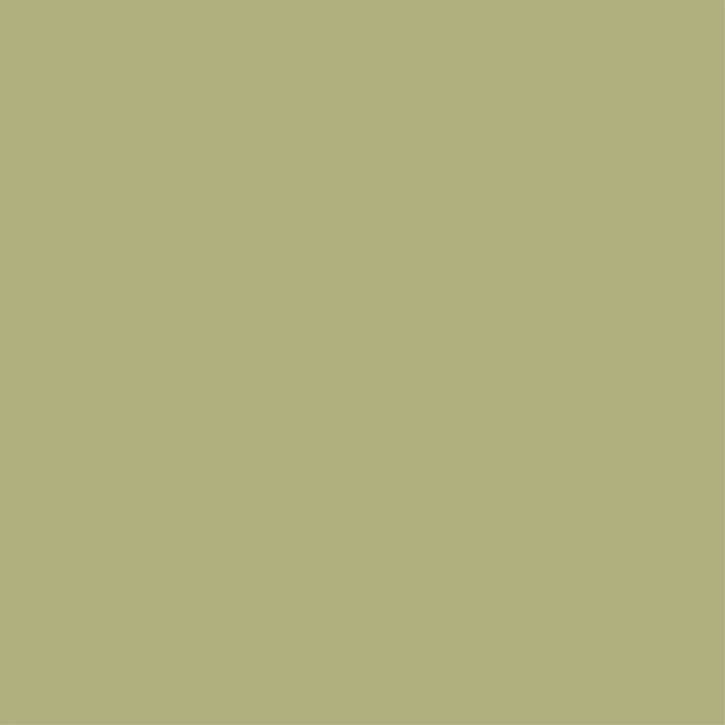 Uniquely Creative - Cardsstock 12x12 (1/sheet) - SAGE - The Crafty Kiwi