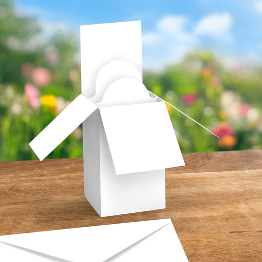 Katy Sue - White Pop Up Box Cards & Envelopes  (4/pack)