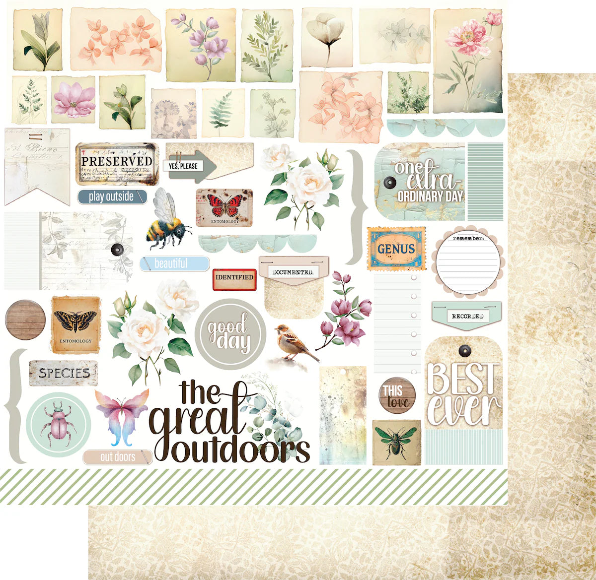 Uniquely Creative -  12x12 Documented Flora Paper (1/sheet) - Advent 2025