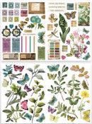 Arden Creative Studio - GARDEN CHRONICLES - Laser Cuts