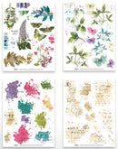Arden Creative Studio - GARDEN CHRONICLES - 6 X 8 Rub-On Transfer Set