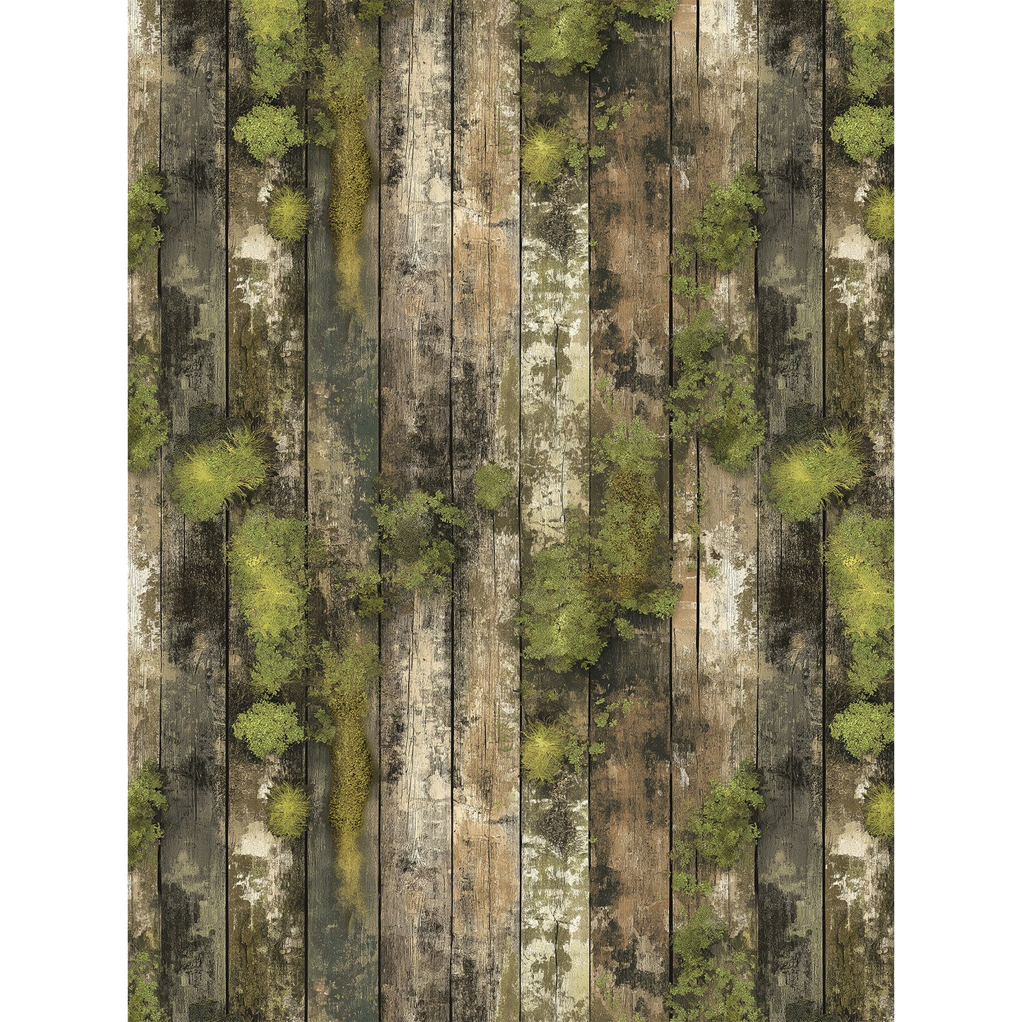 49 and Market - Campfire Memories  - 6x8 Collection Pack