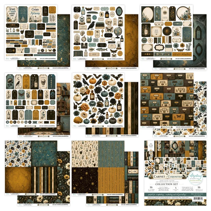 Mintay - CABINET OF CURIOSITIES - 12x12 Collection Set