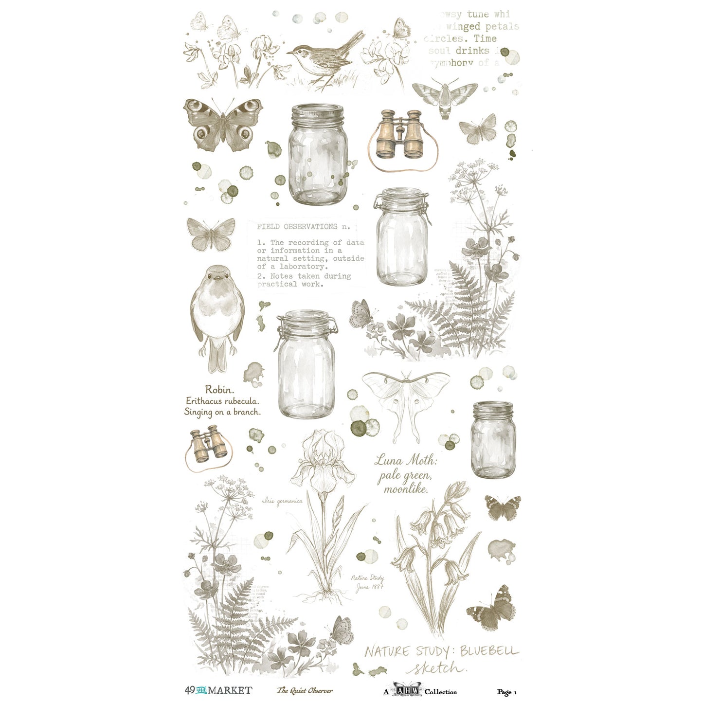49 and Market - The Quiet Observer - Essentials Rub-On Transfer Set 6"X12