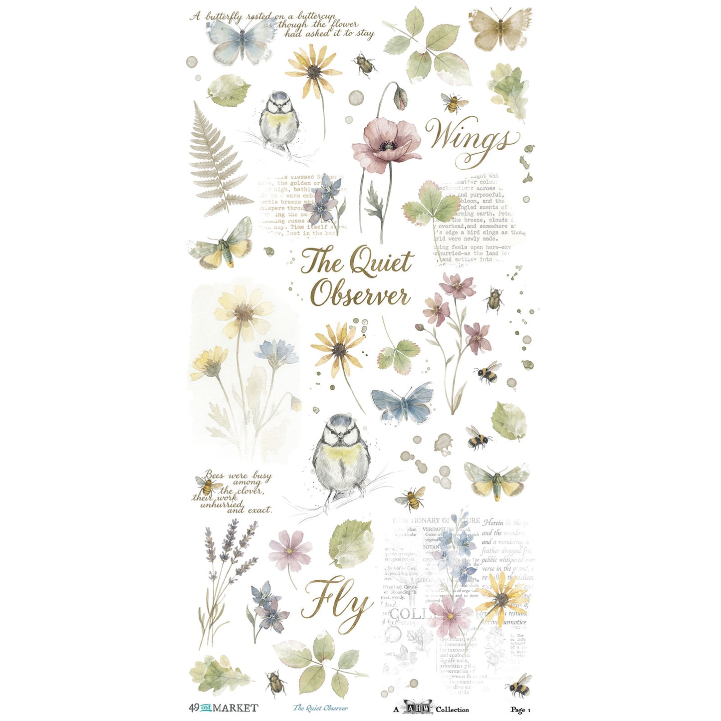 49 and Market - The Quiet Observer - Blendable Rub-On Transfer Set 6"X12