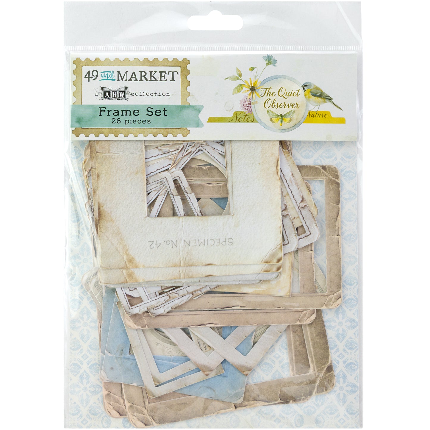 49 and Market - The Quiet Observer - Frame Set