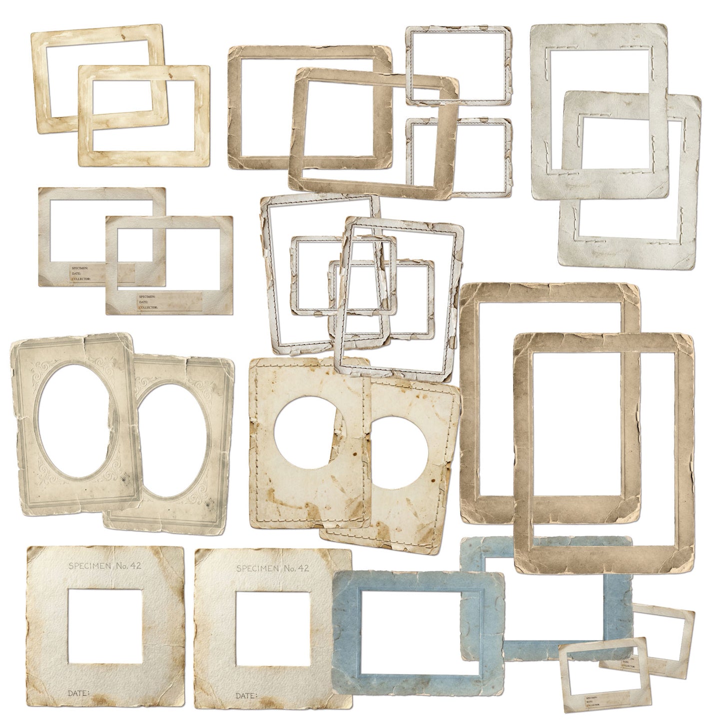 49 and Market - The Quiet Observer - Frame Set