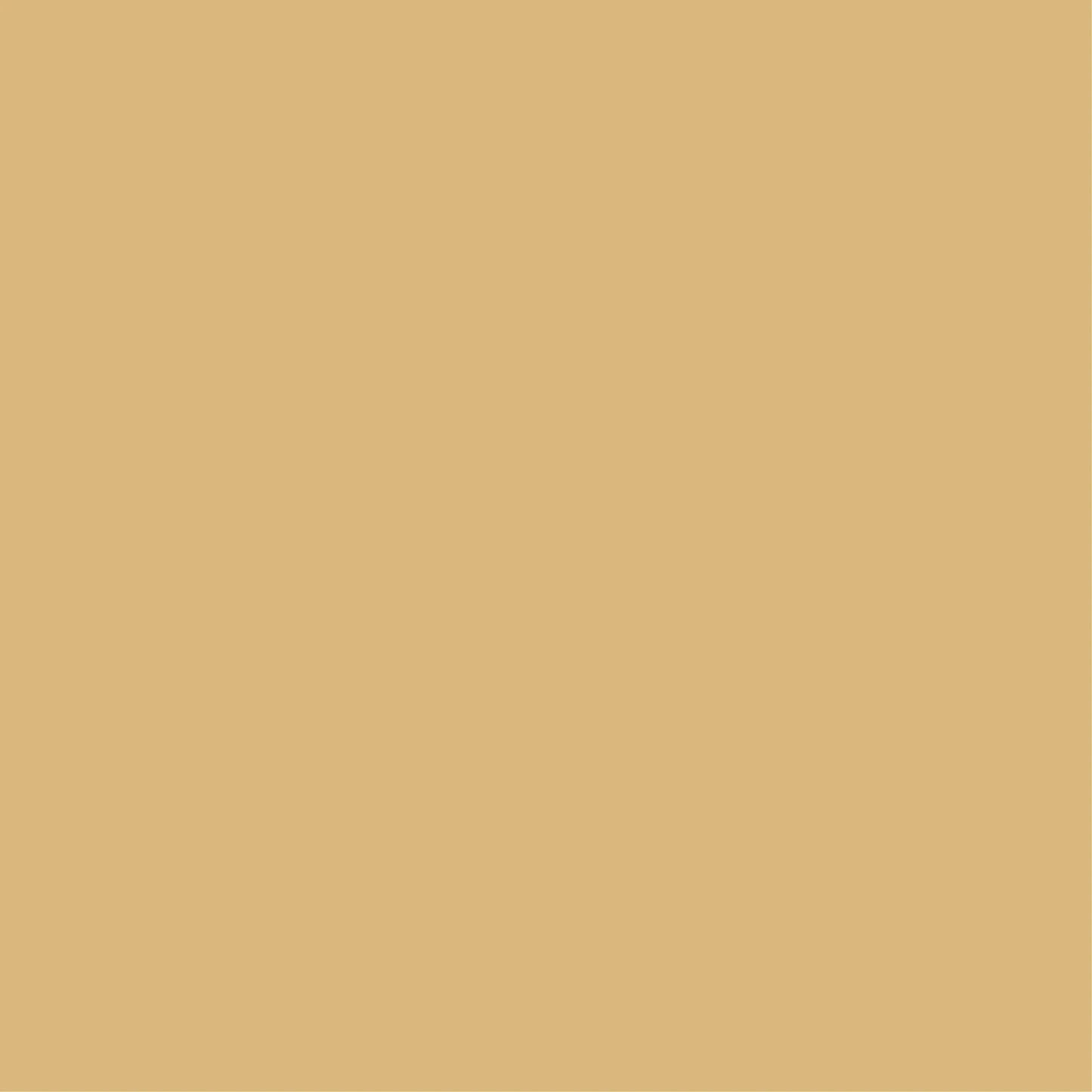 Uniquely Creative - 12x12 two-tone Cardstock - CHAMPAGNE (1/sheet)