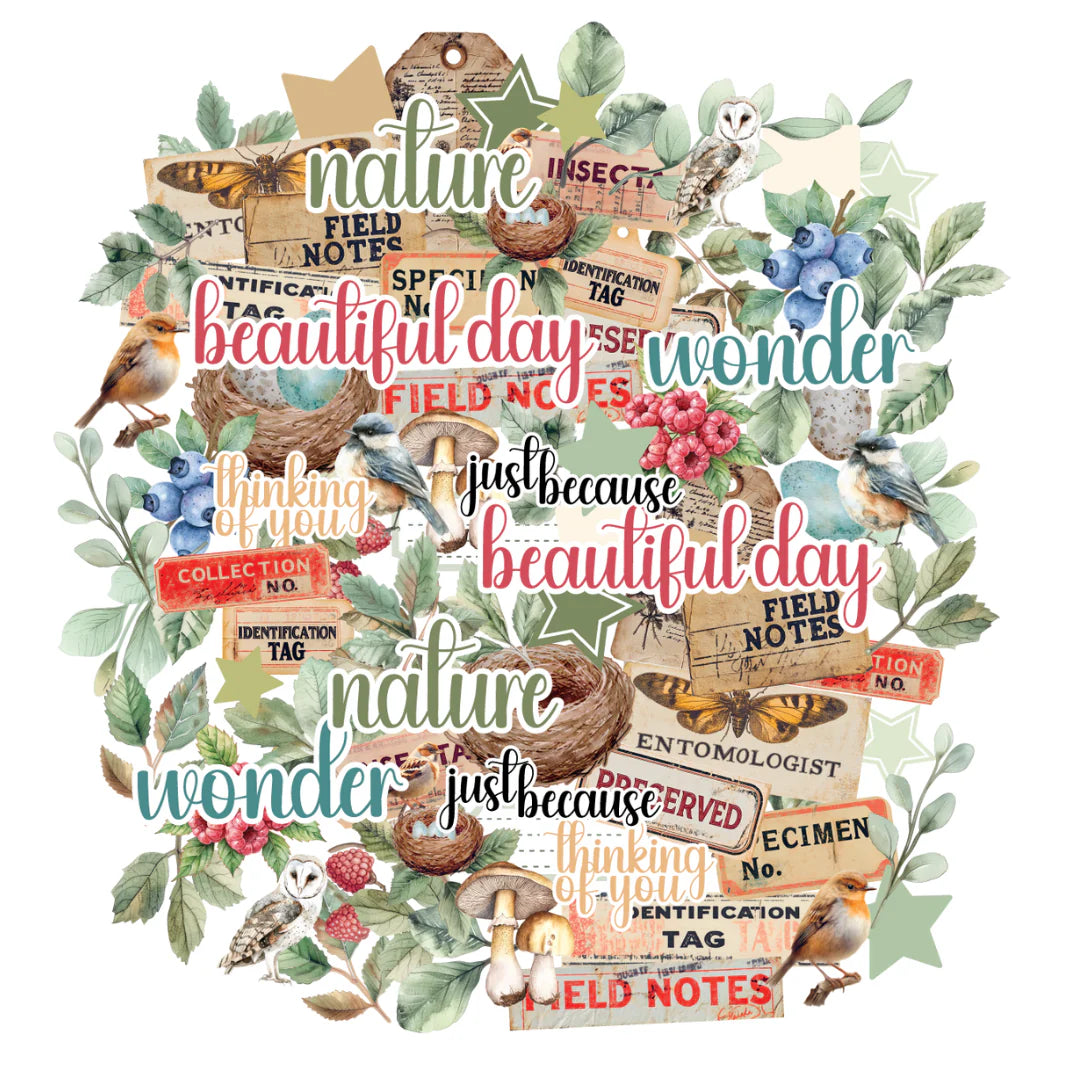 Uniquely Creative - Botanical Chronicles Creative Cuts - Advent 2025