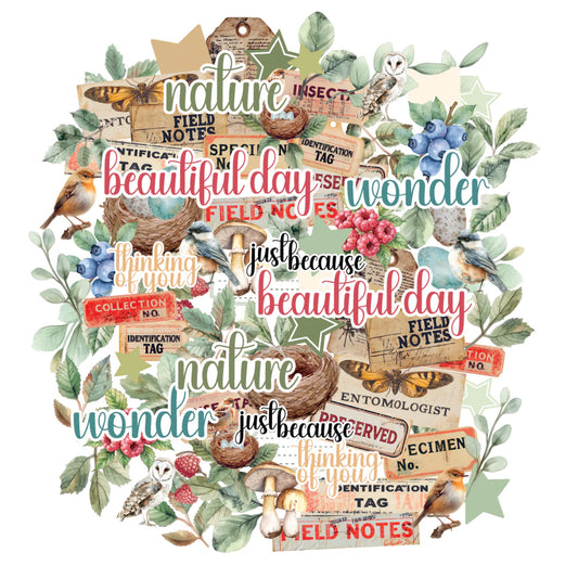 Uniquely Creative - Botanical Chronicles Creative Cuts - Advent 2025