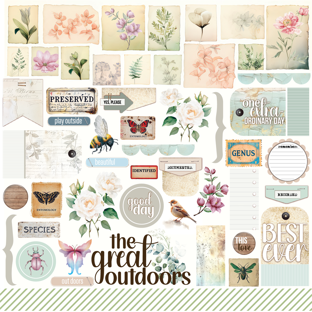 Uniquely Creative -  12x12 Documented Flora Paper (1/sheet) - Advent 2025