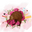 The Crafty Kiwi logo