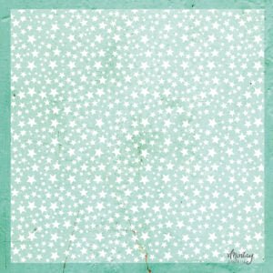 Mintay - Decorative Vellum 12x12 - Stars - The Crafty Kiwi