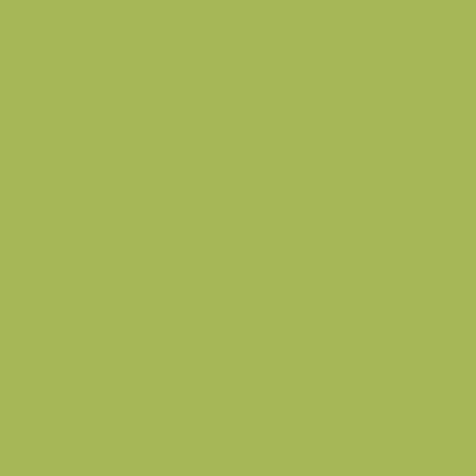 Uniquely Creative - Cardstock 12x12 (1/sheet) - EUCALYPTUS - The Crafty Kiwi