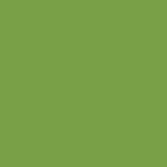 Uniquely Creative - Cardstock 12x12 (1/sheet) - LIME - The Crafty Kiwi