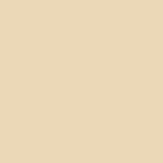 Uniquely Creative - Cardstock 12x12 (1/sheet) - VANILLA LATTE - The Crafty Kiwi