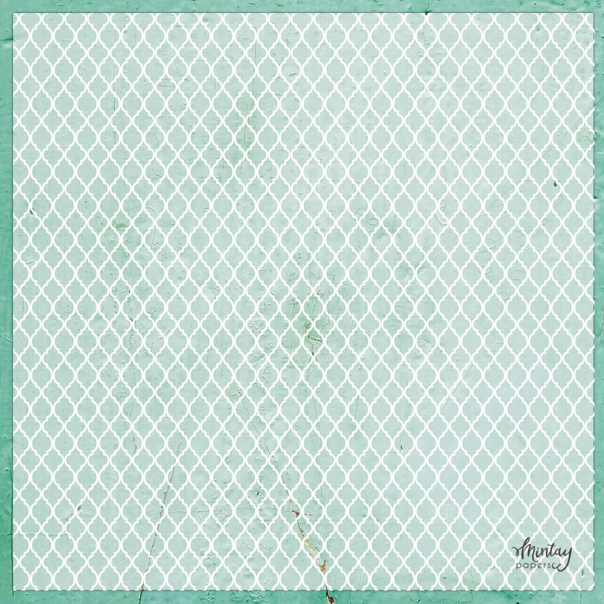 Mintay - Decorative Vellum 12x12 - Mesh (1/sheet) - The Crafty Kiwi